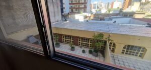 Borrador automático