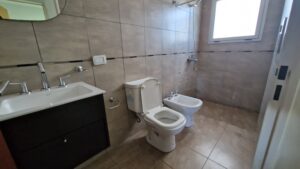Borrador automático
