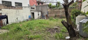 Borrador automático
