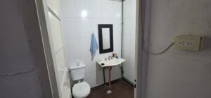 Borrador automático
